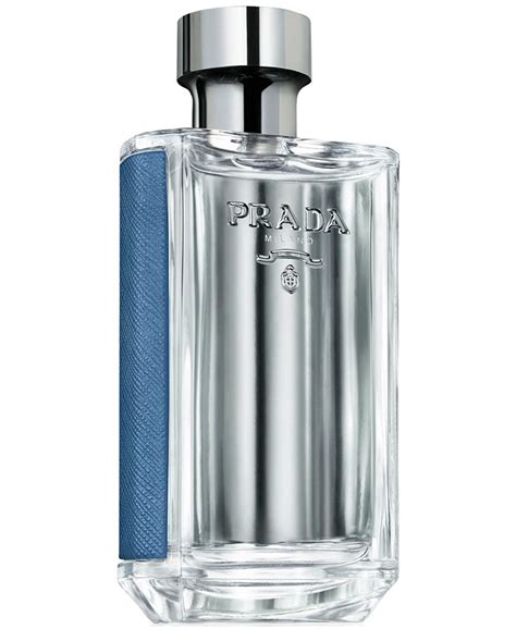 prada pour homme cologne macy's